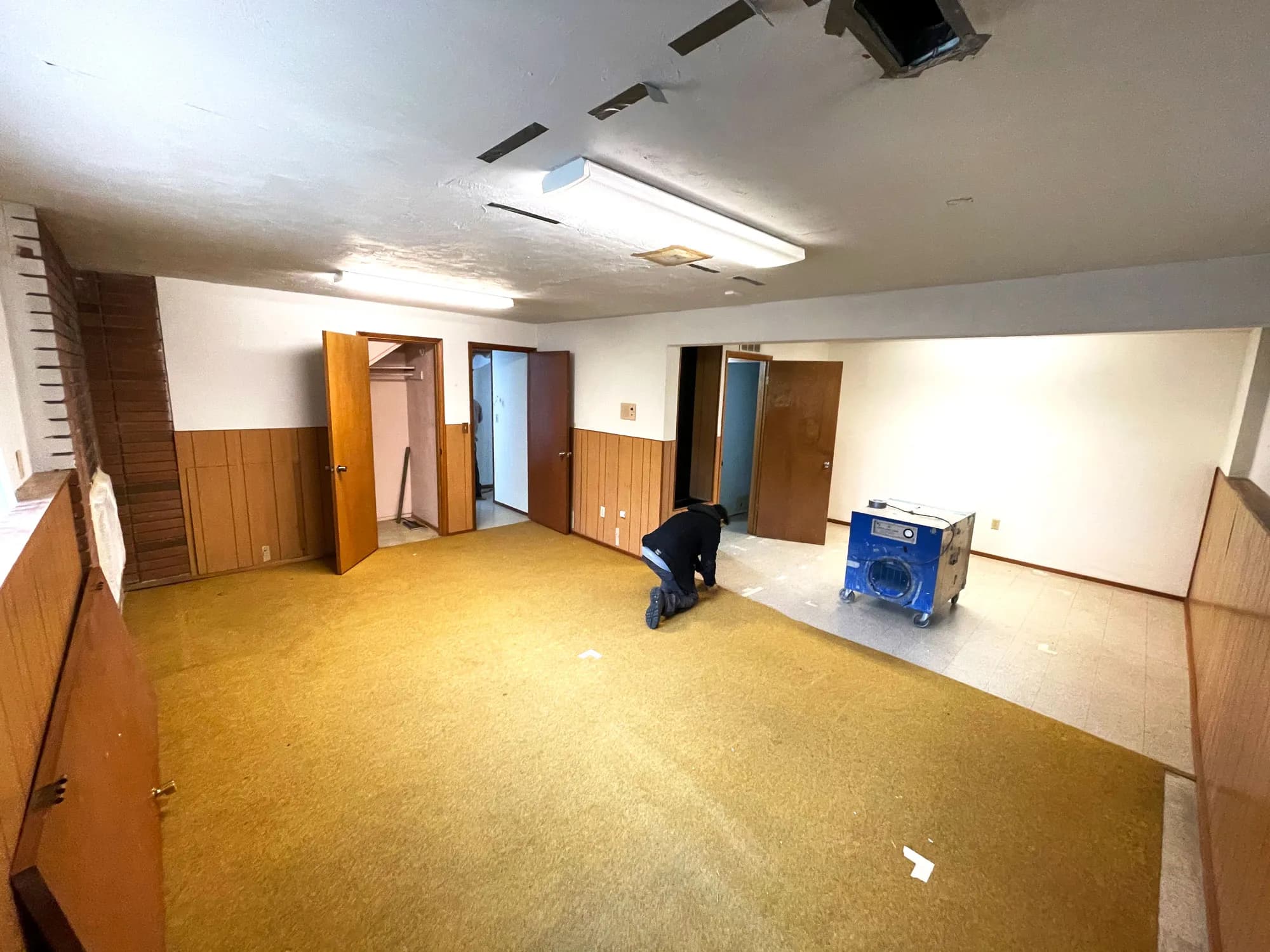 Seward Park Basement Makeover — before